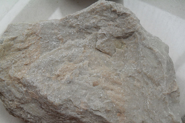 ����r����